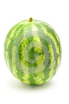 Watermelon fruits on a white background