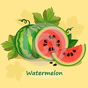 Watermelon with green leafs on yellow background