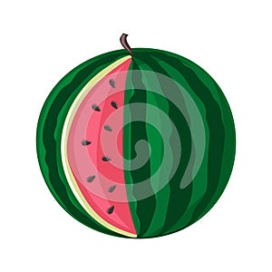 Watermelon. Green striped berry with red pulp and brown seeds
