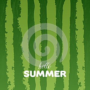 Watermelon green texture background with Hello Summer letters vector illustration