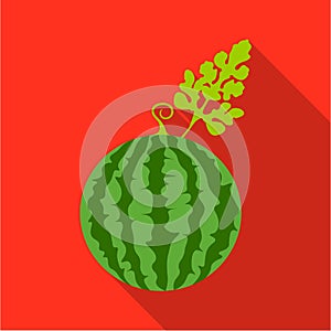 Watermelon icon flat. Single plant icon from the big farm, garden, agriculture flat.