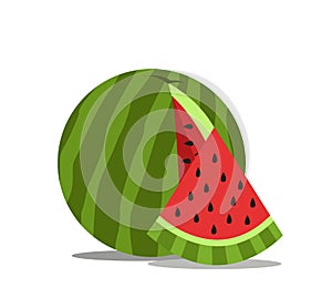 Watermelon icon vector illustration