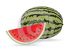 Watermelon illustration