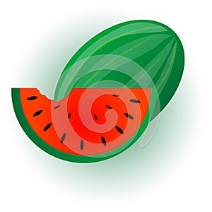 Watermelon illustration.