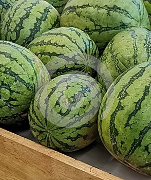 watermelon