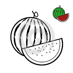 Watermelon images for coloring books