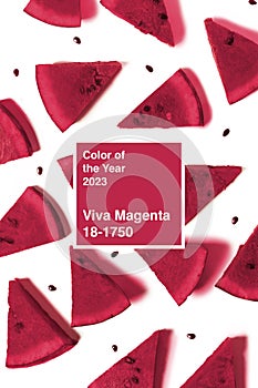 watermelon isolated on the white background. Color of the year 2023, viva magenta.