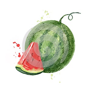 Watermelon juicy red and juicy piece. Hand drawn watercolor style