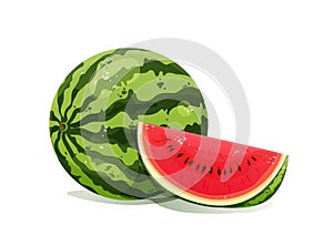 Watermelon with juicy sliced isolated on white background in cartoon style design. Organic summer delicious dessert