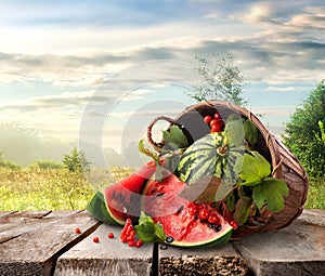 Watermelon and landscape