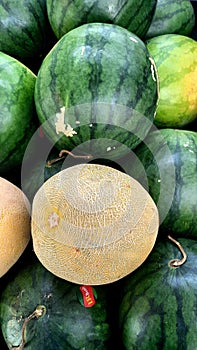 Watermelon and melon