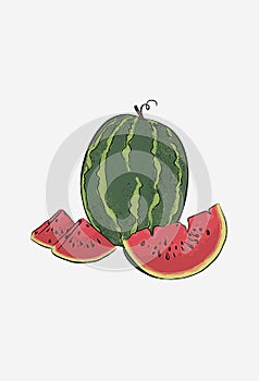 Watermelon poster. Watermelon slices, half and quarter. Ripe watermelon vector illustration
