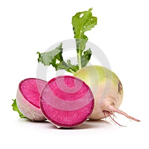 Watermelon radish