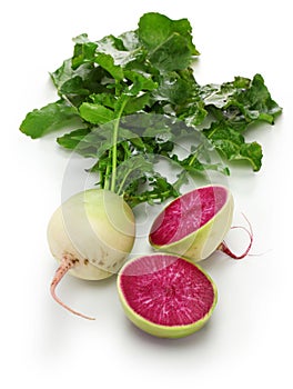 Watermelon radish, chinese red meat radish