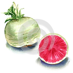 Watermelon radish, one whole and sliced isolated on white background