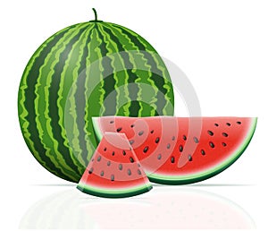 Watermelon ripe juicy vector illustration