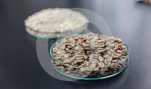 Watermelon seed on black background on plate