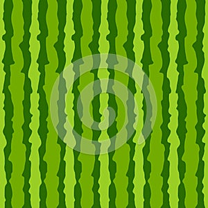 Watermelon skin texture background.