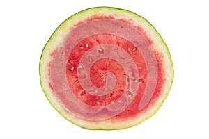 Watermelon Slice