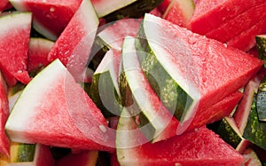 Watermelon Slices photo