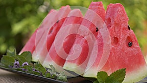 Watermelon slices - camera orbit