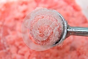 Watermelon sorbet scoop