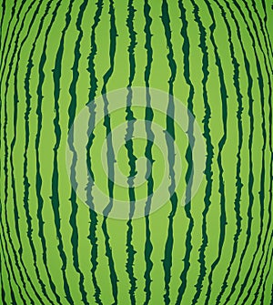 Watermelon texture background, vector