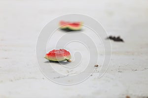 Watermelon thrown on the beach and wasted after half eaten.