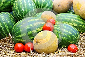 Watermelon,tomatoes and cantaloupe