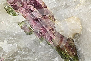 Watermelon tourmaline