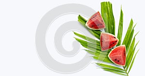 Watermelon with tropical palme leaves photo