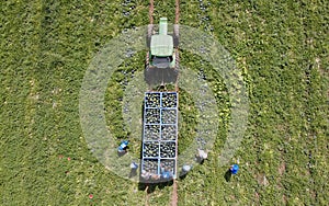 Watermelon valley of springs