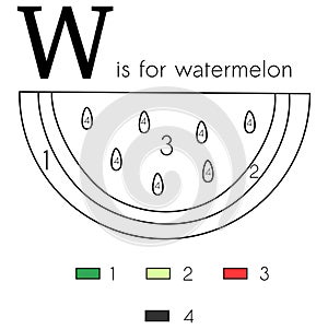 Watermelon. Vector alphabet letter W, colouring page