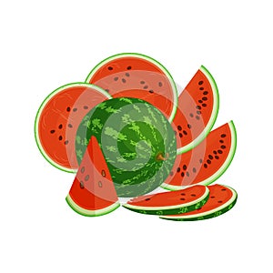 Watermelon vector. Composition of fresh watermelon cut into slices.