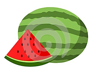 Watermelon vector.Fresh watermelon illustration