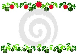 watermelon vector illustration frame