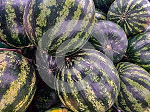 watermelons