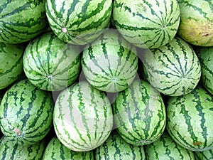 Watermelons