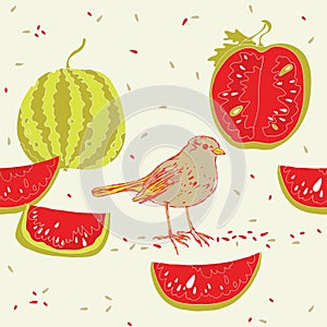 Watermelons and bird photo