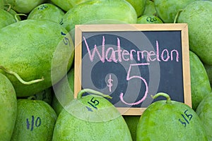 Watermelons on display with a sign in Rarotonga market Cook Islands