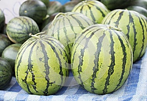 Watermelons at Market, watermelons laid out at a Farmers market