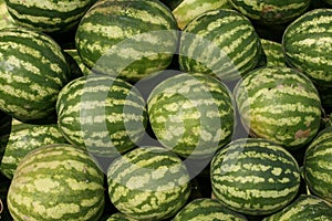 Watermelons in a marketplace