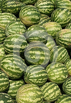 Watermelons in a marketplace