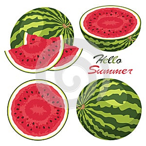 Watermelons, vector photo