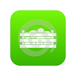 Watermelons in wooden crate icon digital green