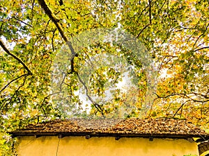 watermill and water friction in pili triklala greece autumn colors in platanus forest