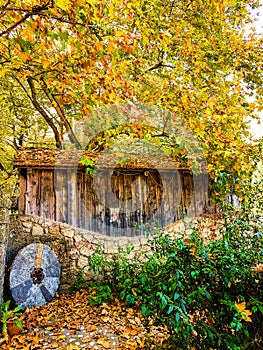 watermill and water friction in pili triklala greece autumn colors in platanus forest