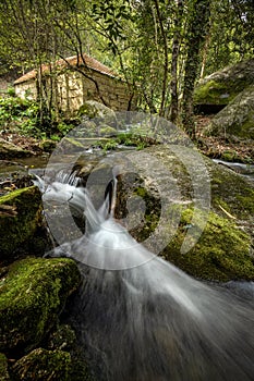 Watermill and waterfall surrounded by forest