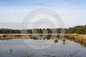 Waterplas in Het Gooi, Lake in Het Gooi