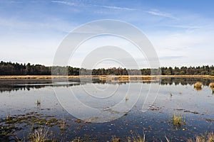 Waterplas in Het Gooi, Lake in Het Gooi